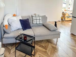 Apartment Kamienica Centrum - 3hvězdičkové hotely ve městě Hlivice