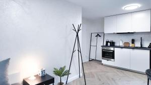 ALFA Mikroapartment Stuttgart Küche Bad l SmartTV WIFI l Porsche & Bosch l Kitchen Bath BS21A3