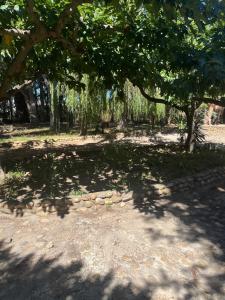 Maison d hôtes Las Pistaxes