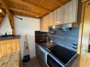 Studio cabine 4 pers, animaux admis, parking privé, Les Saisies - FR-1-293-414