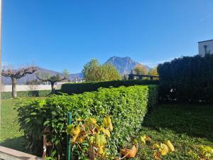 Apartment Altmünster mit Traunsteinblick