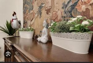 Apartment for 4 Bologna center