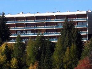 Grand studio rénové, 4 pers, animaux admis - FR-1-340-132