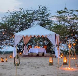 The Desert Resort Jaisalmer