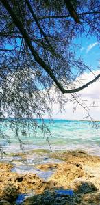 La veranda dei remi azzurri