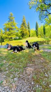 La bastide de Meilhouret