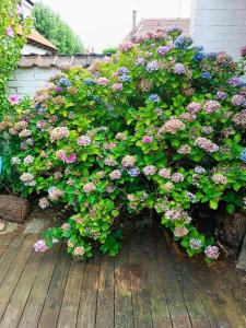 House - comfortable - spacious - 15 from Lille