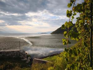 Pelican Bay House - Skadar Lake