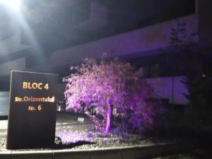 Apartament Vivamus Residence Brasov