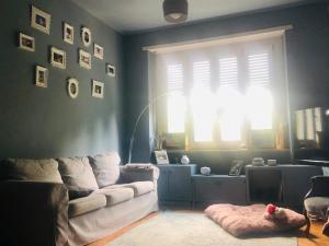 D Azeglio Room