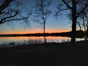 Stay in 2 cottages by the lake, Legoland, ForestCabinDK