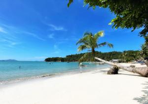 BAIA - Beachfront Boutique Lodge in San Vicente, Palawan