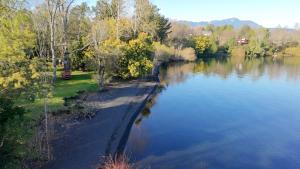 Cabañas Frente al Lago Calafquén