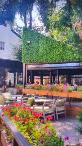 Grand Cozy Central Bucharest