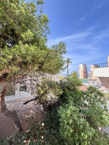 Apartamentos con piscina y vistas al mar-La Mata