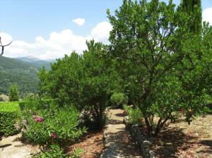 LES BALCONS DE LA CHIUSA