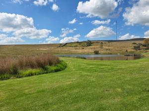 Treeferns Trout Lodge