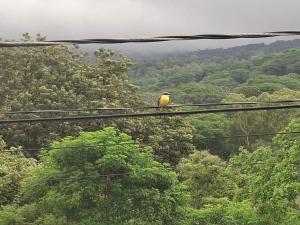 Isabella House, Beautiful views of the mountains