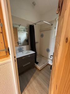 Appartement T2 avec mezzanine