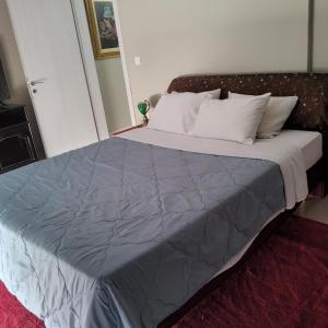 One bedroom apartment new with large living room