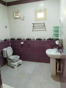 شقق يوسف سالم الحارثي للشقق المخدومة