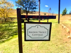 Treeferns Trout Lodge