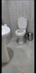 The Green City Premier Lodge