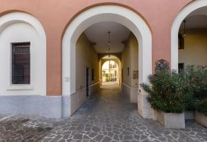 Amasia Verona