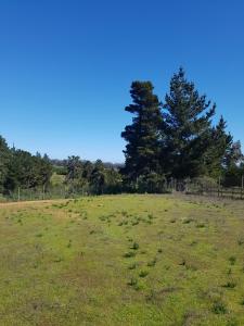 Cabañas House Candelaria con Hot Tub en Algarrobo
