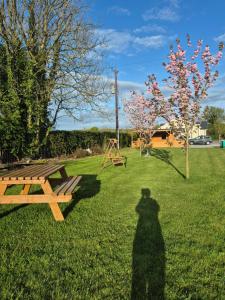 Nellies Cottage B&B & Log Cabins