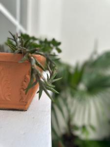 Casa Santa Elena Fuertevli