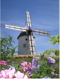 New house with garden - near beach