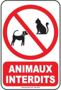 Gîte Brin dOlivier 2 chambres 3 lits