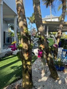 Sandy Feet North Captiva Island Beach House