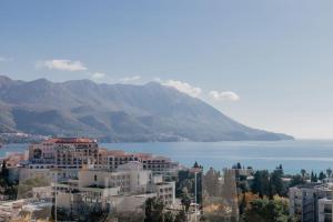 Luxury Horizon Penthouse Budva