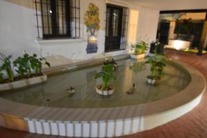 COSTA TROPICAL & ALPUJARRAS Relaxation