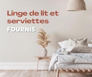 Télétravail pro - Calme, grand espace, plein centre