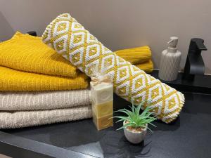 Maison classée 4 étoiles, Plain Pied, 65 m2, Hyper Centre, Terrasse