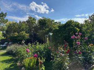 Chambre Le Mas du Bessin