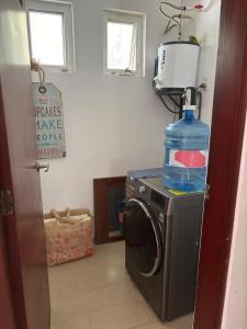 Oasis facing the lagoon