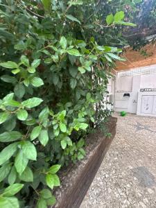 Vila Nogueira De Azeitao - Amarals Guest Houses