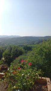 Podere Salceto, terrazza sul Chianti