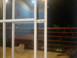 nhà Anh TRƯỜNG Homestay