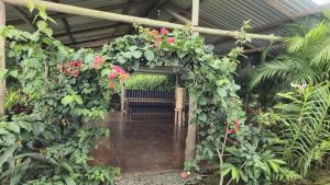 Cabañas Caeli, El Colibri, NEW La Fortuna Rainforest Cabin w Panoramic Views