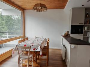 Apt 45 m2 sur les pistes