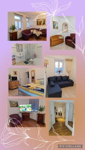 Gambrinus Schneeberg