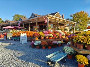 Bayfront & nature preserve!