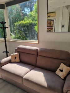 Ipponatte 29 Roma Casal Palocco