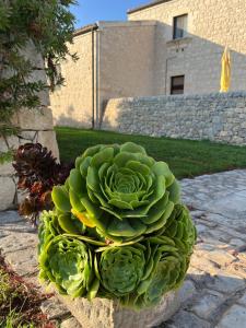 AgriturismoBugilfezza di TGESD