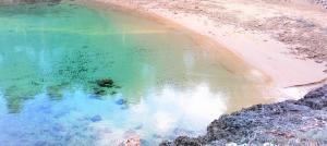 Apartments Nikolina - Vitarnja